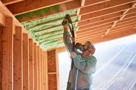 Best Basement Insulation  in Demorest, GA