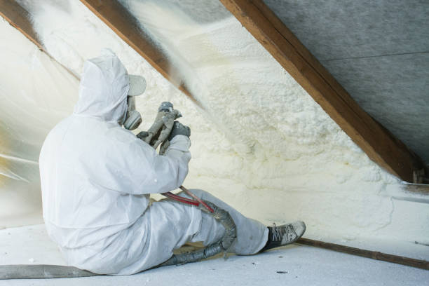 Best Commercial Insulation Services  in Demorest, GA